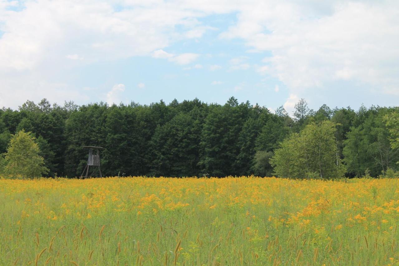 Holiday Home Little House On Papuk Slatinski Drenovac ภายนอก รูปภาพ